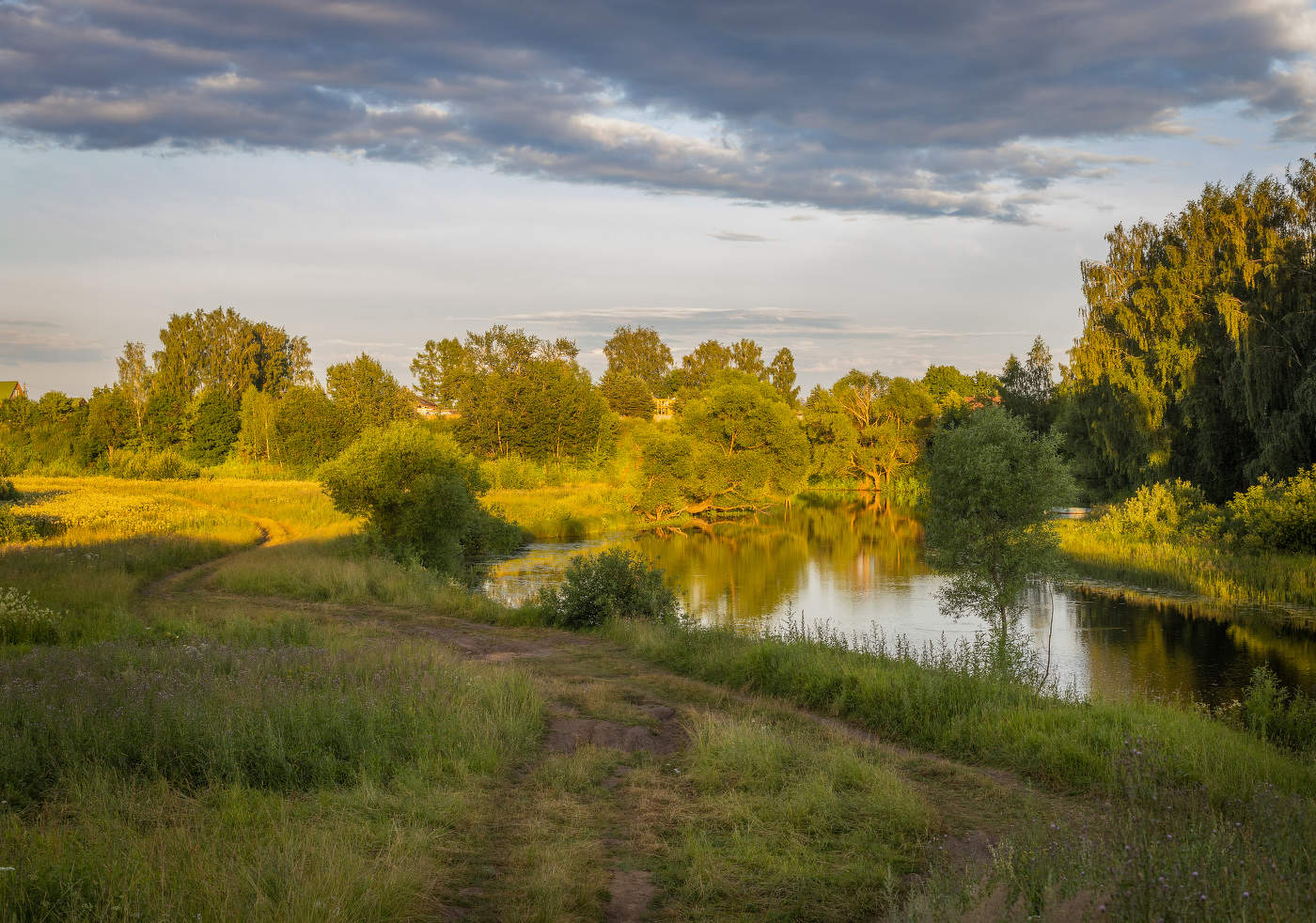 После дождя...