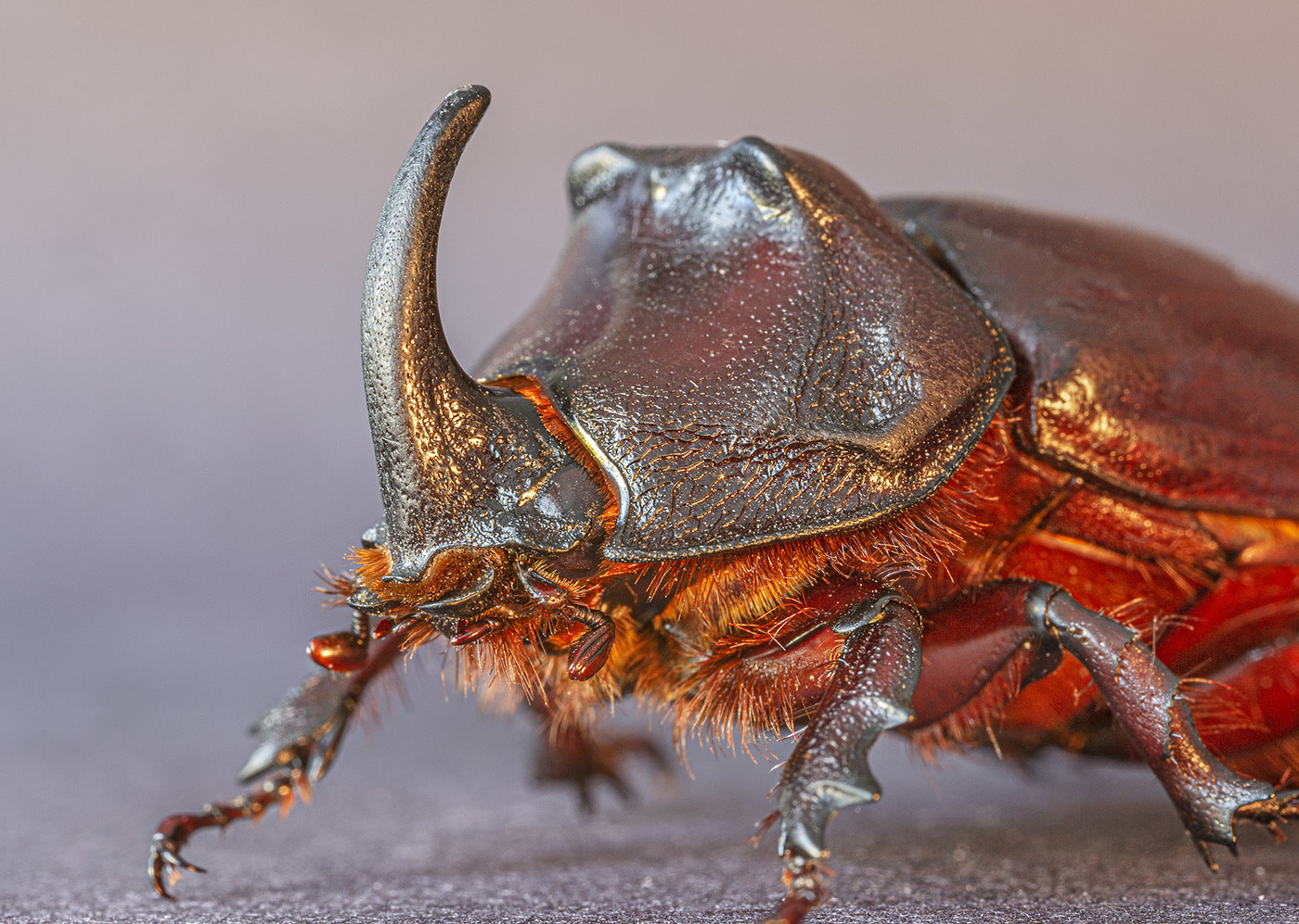 Нам нет преград