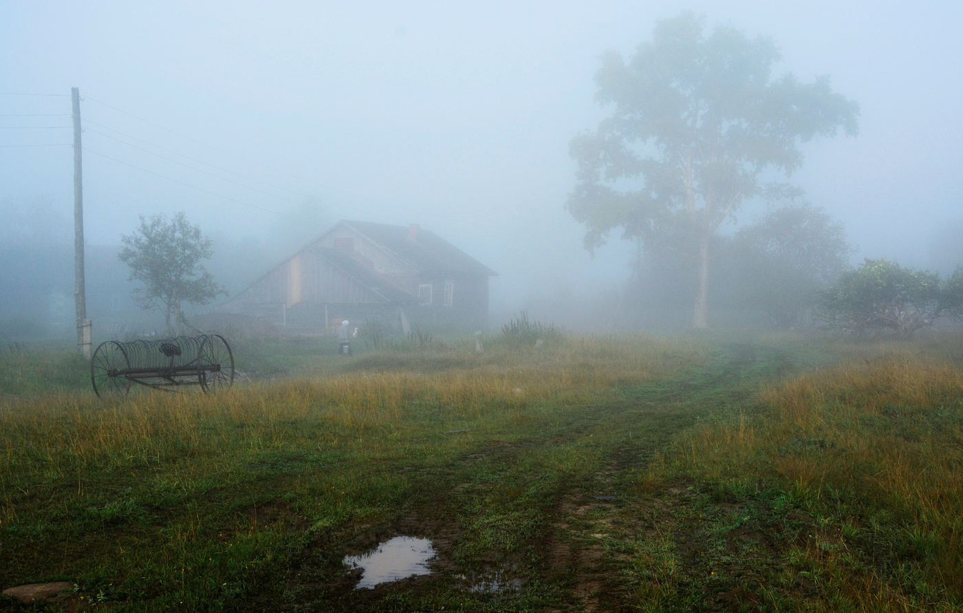 Утро в деревне ...
