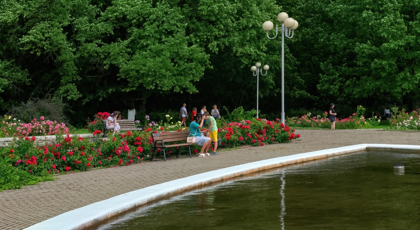 Выходные в розарии