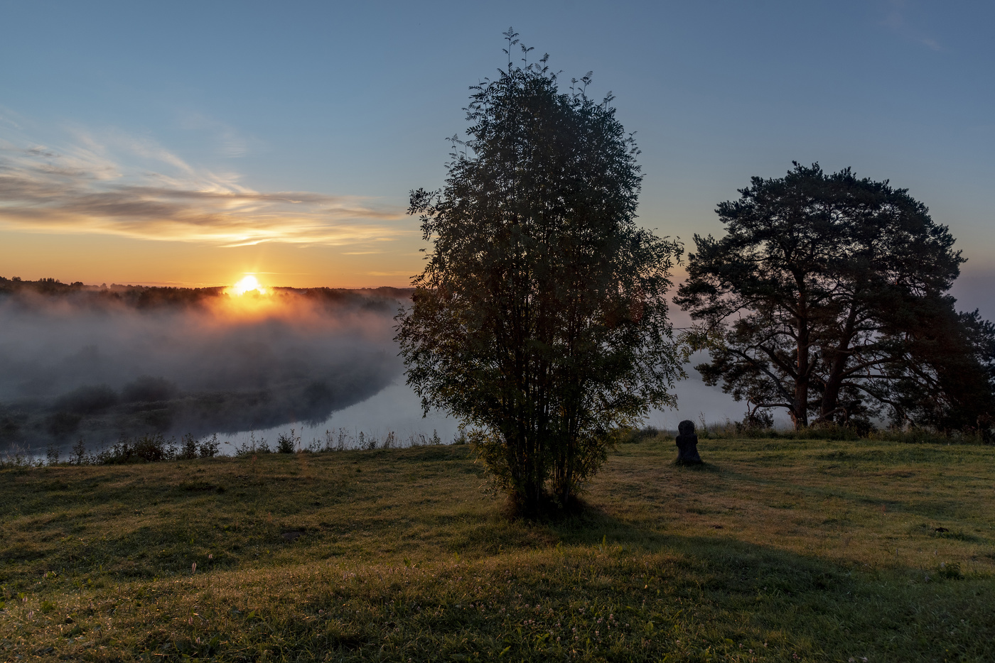Утренний туман