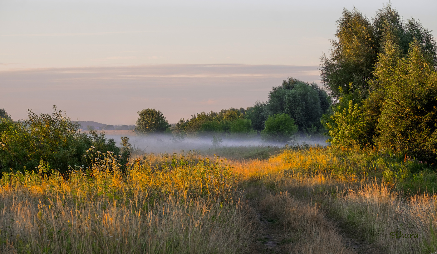 Туман в низине.