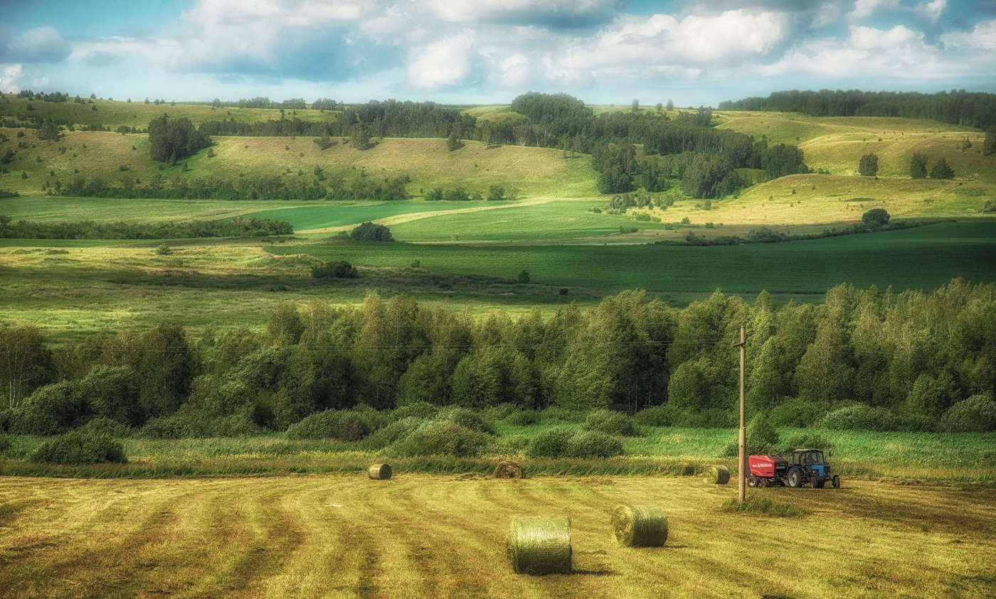Кормозаготовка в колхозе "Рассвет"