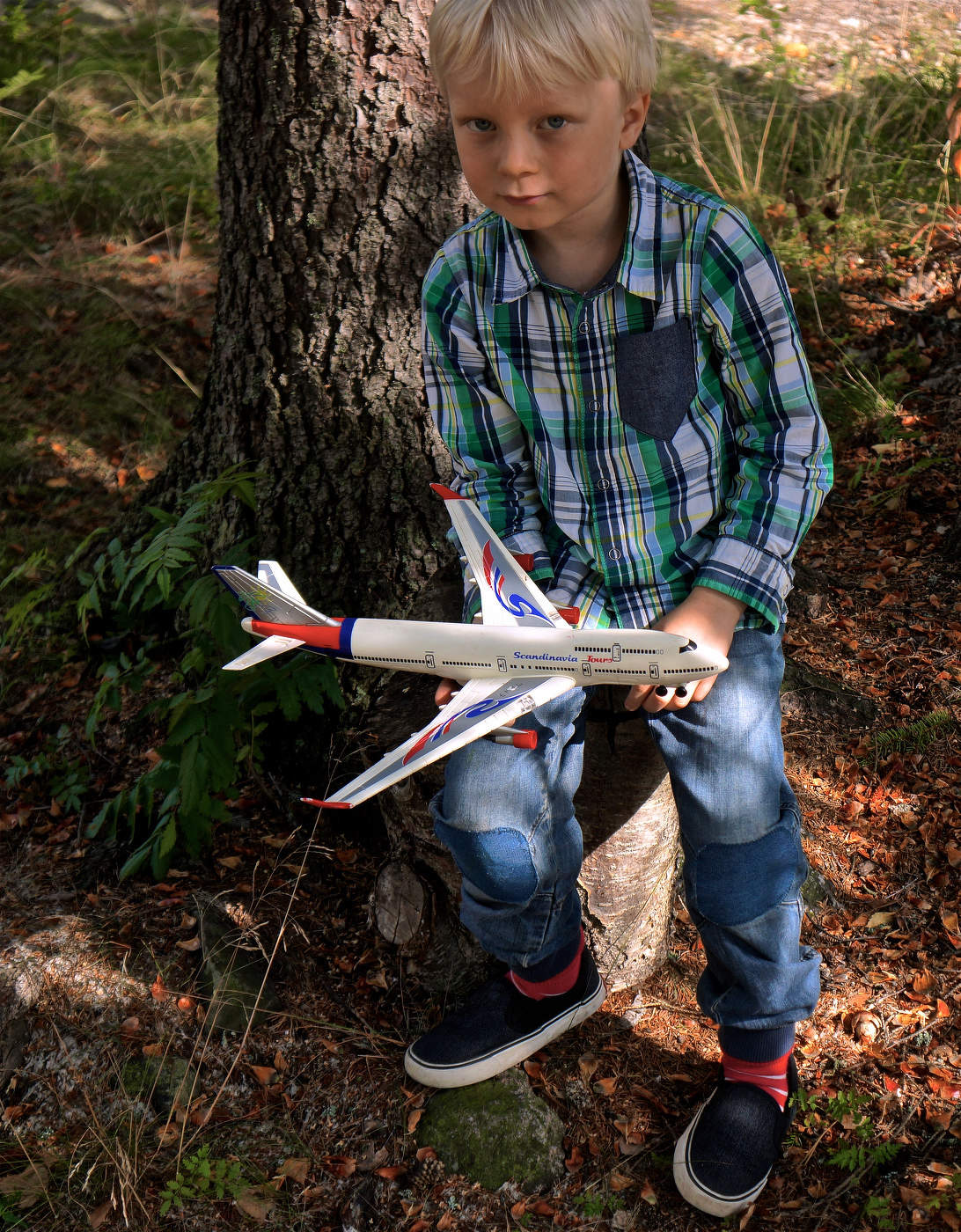 «Сквозь волнистые туманы, Полечу в другие страны...»