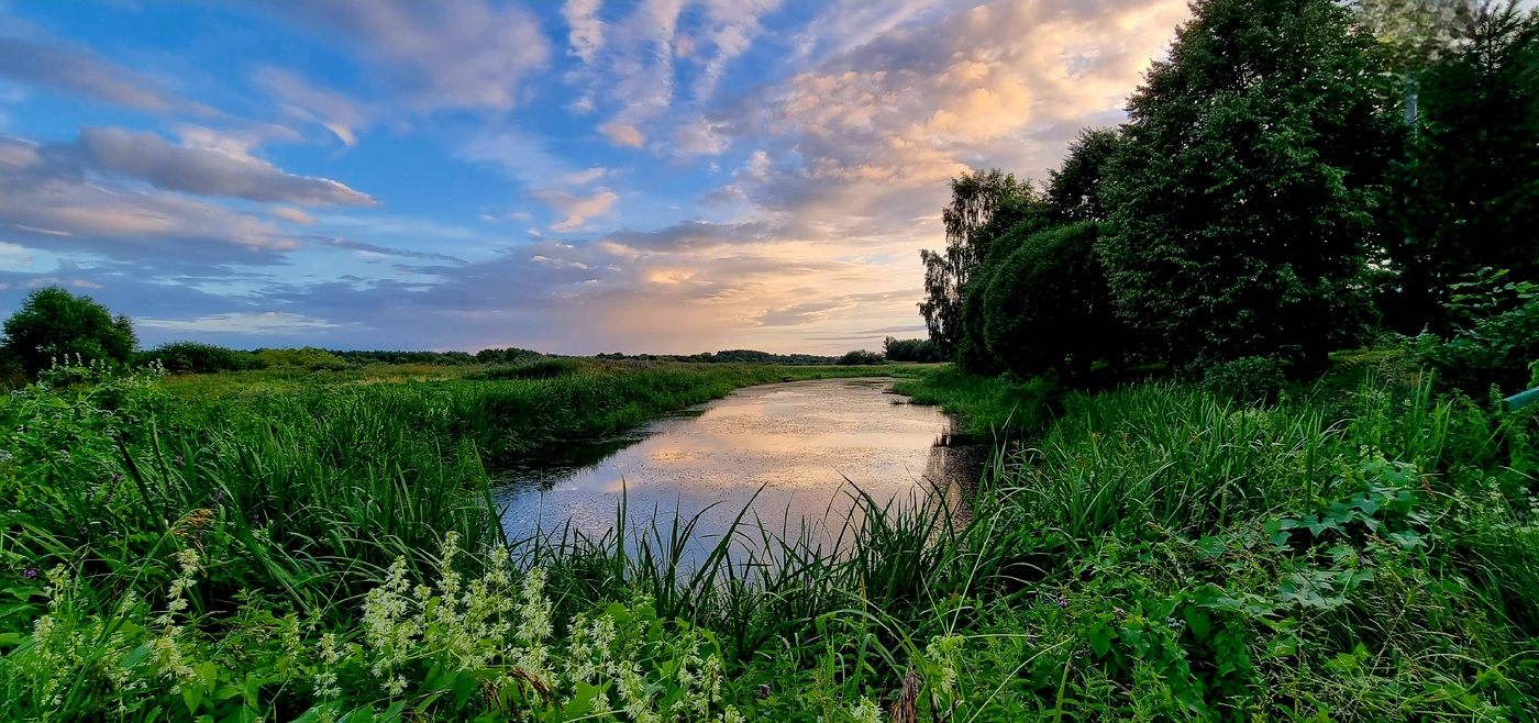 Июльский вечер...