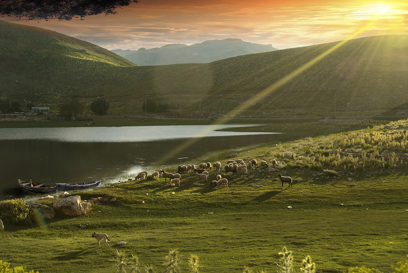 У вечернего озера