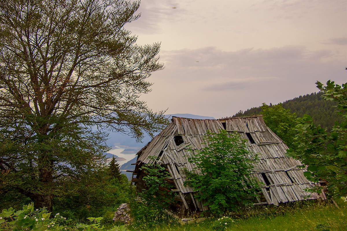 Вечер в Таре