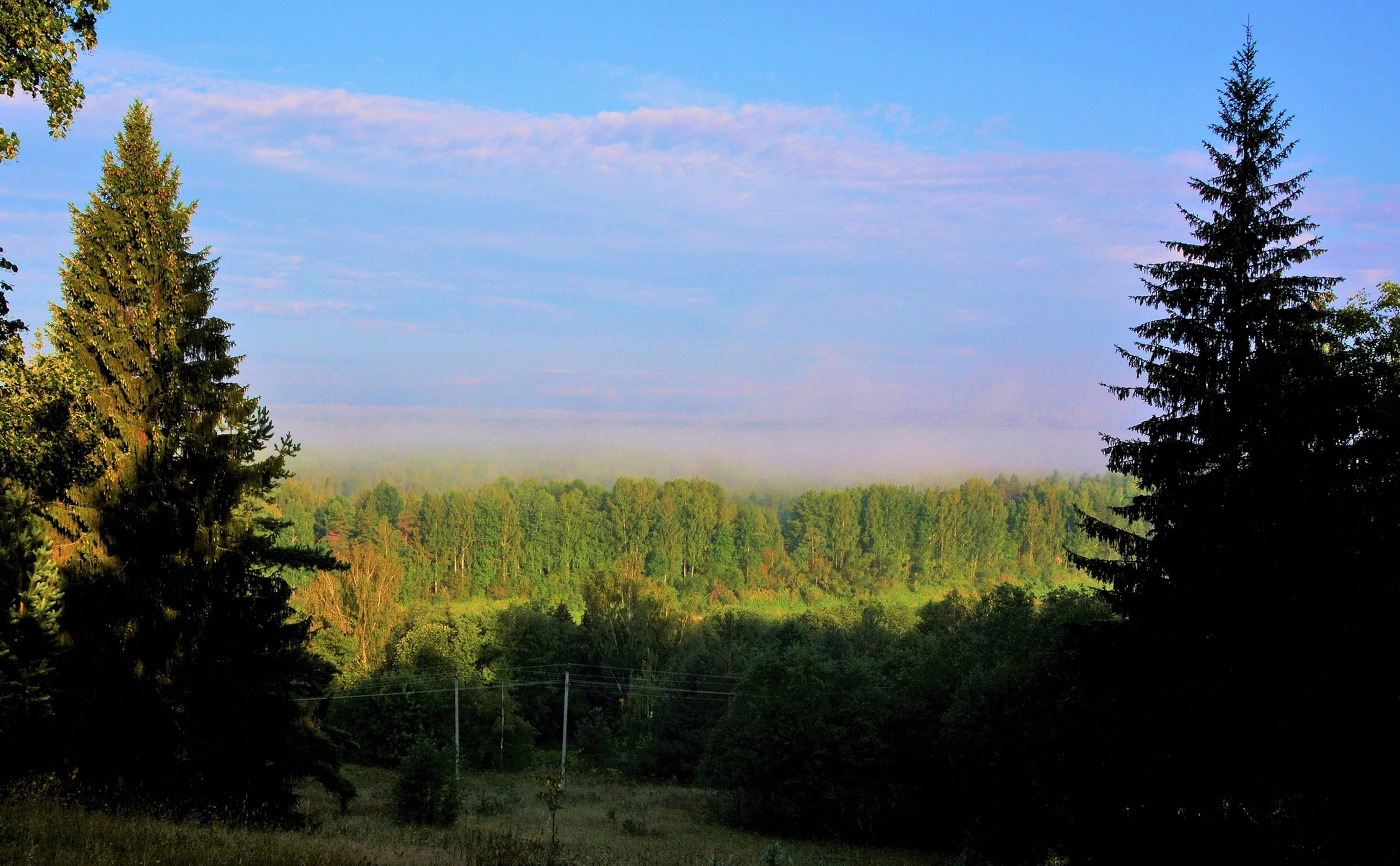 "Утро белым котом за окном через форточку прыгает в дом..."