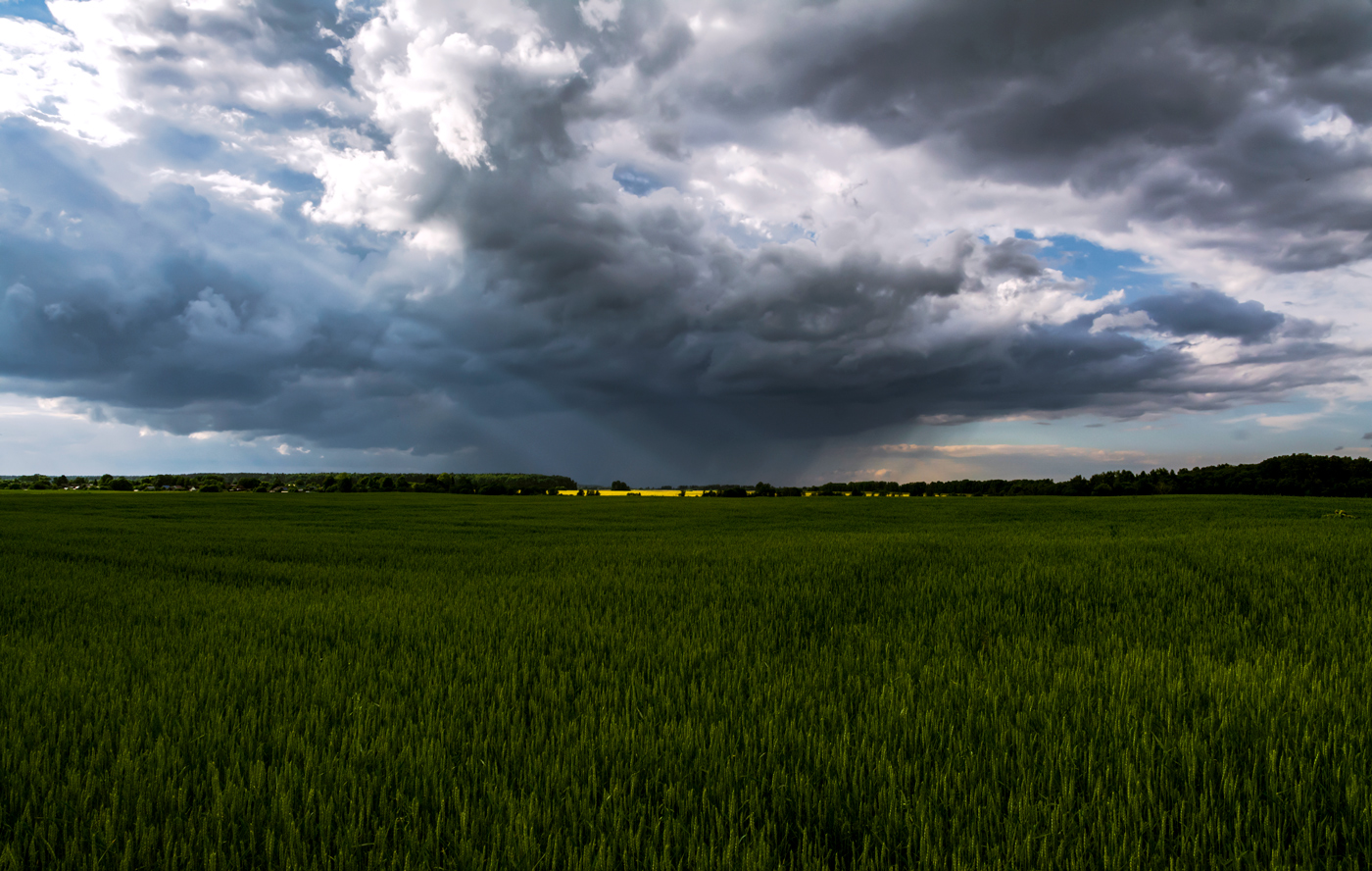 эти летние дожди...