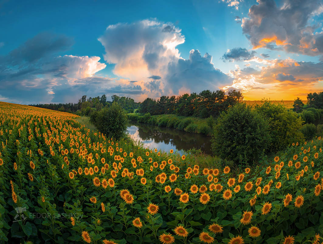 Картина Белгородского лета