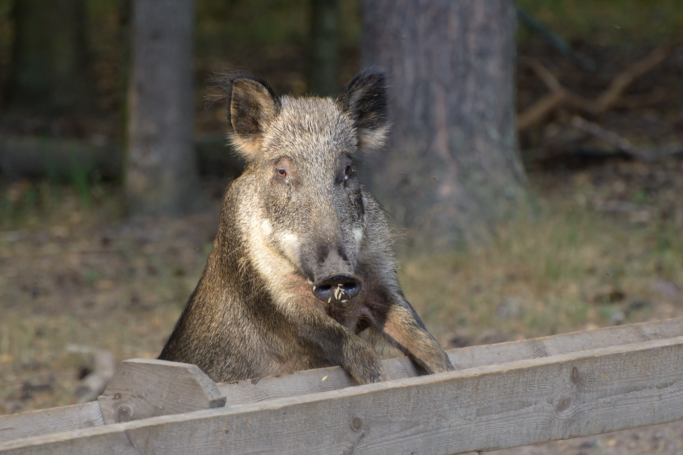 за рабочем столом