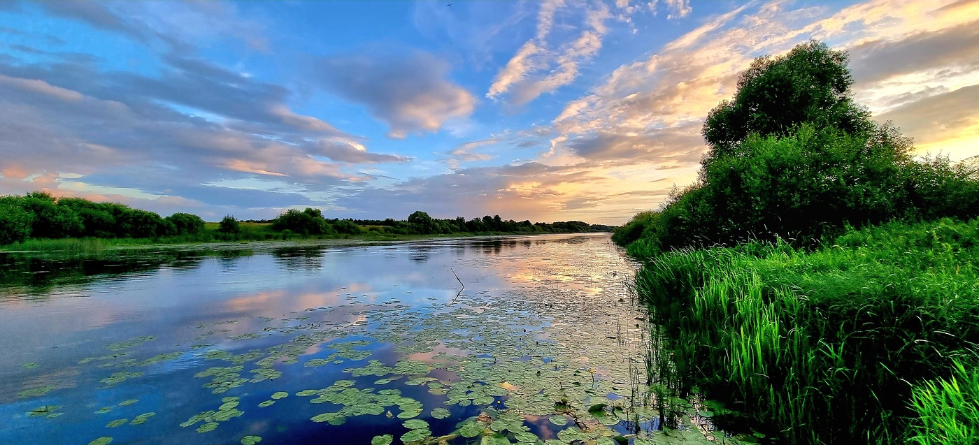 Вечерние силуэты...