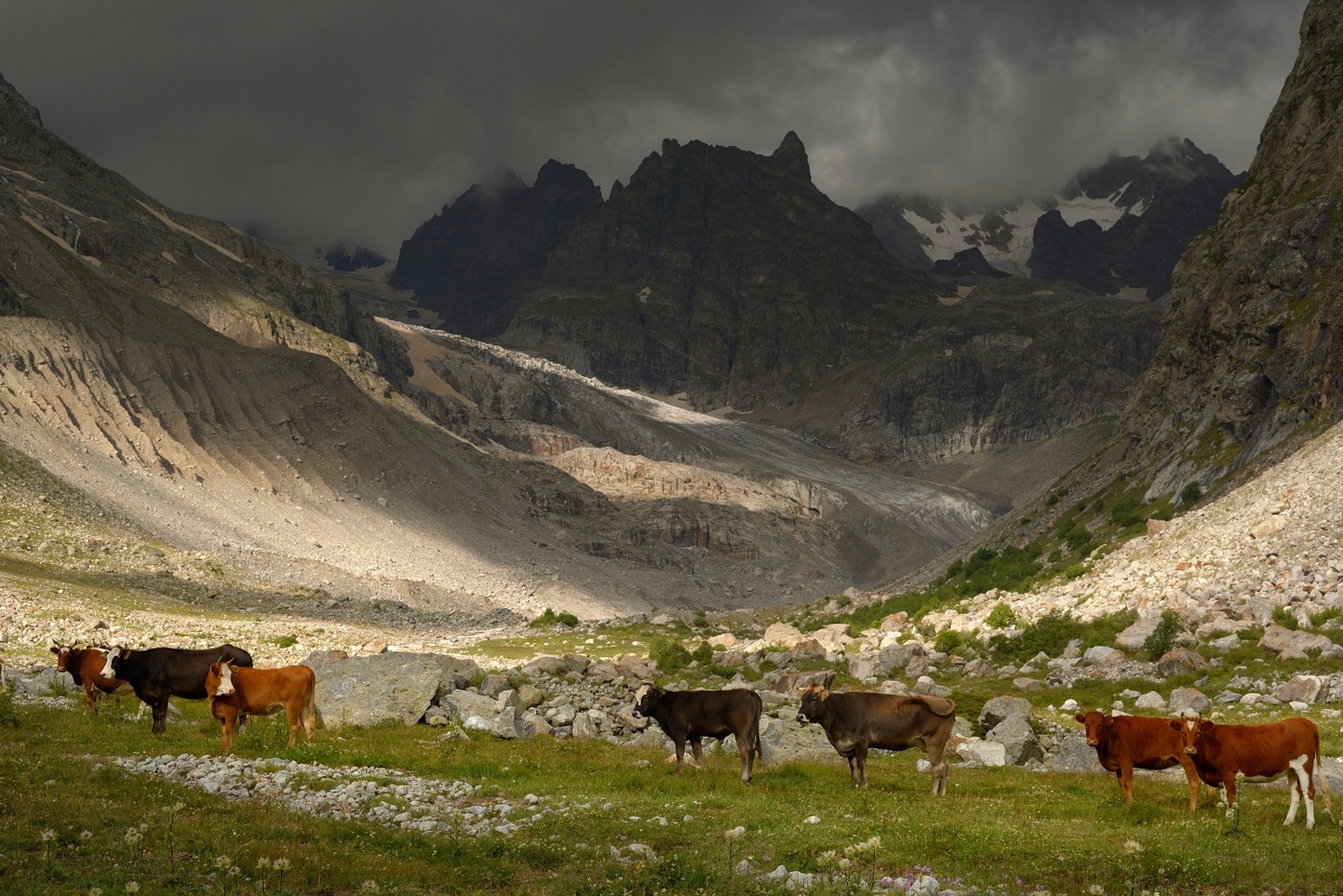 Мы здесь живем