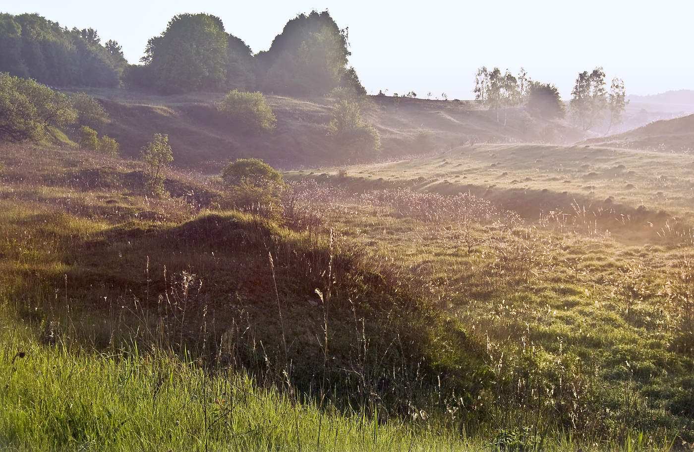 Солнышко проснулось))
