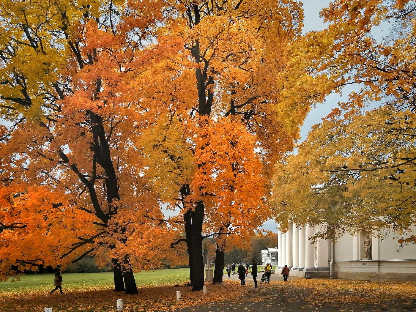 Кухонный корпус