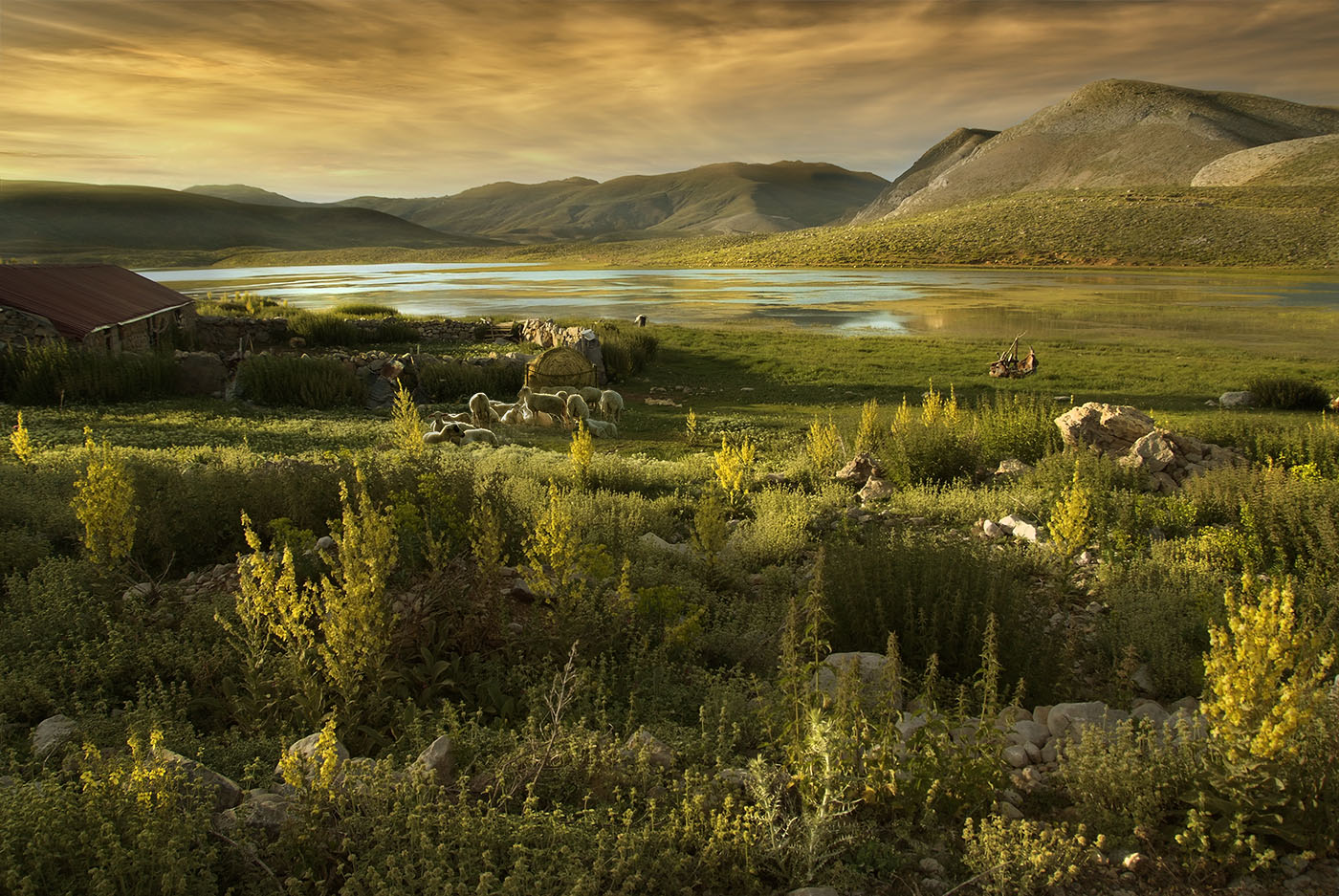 Жизнь у горного озера