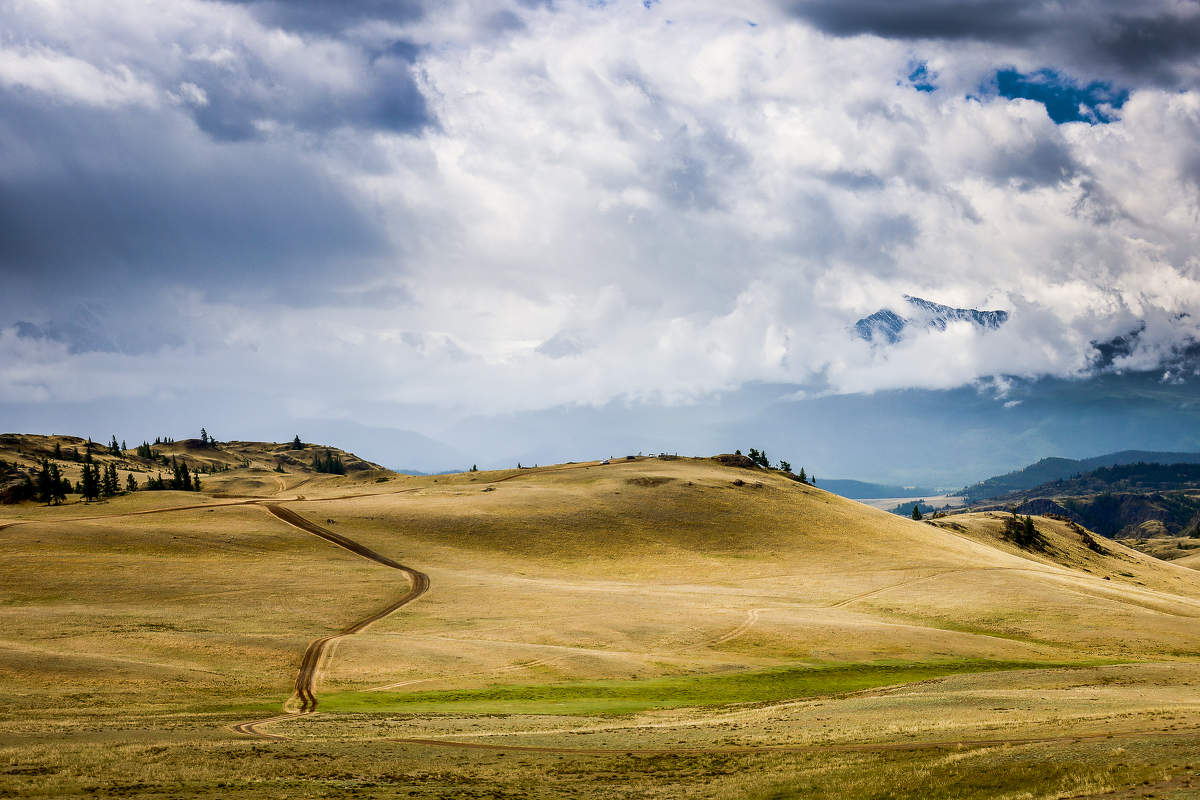 Курайская степь