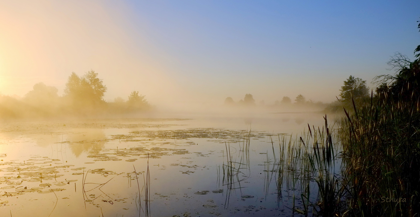 Туман на рассвете.