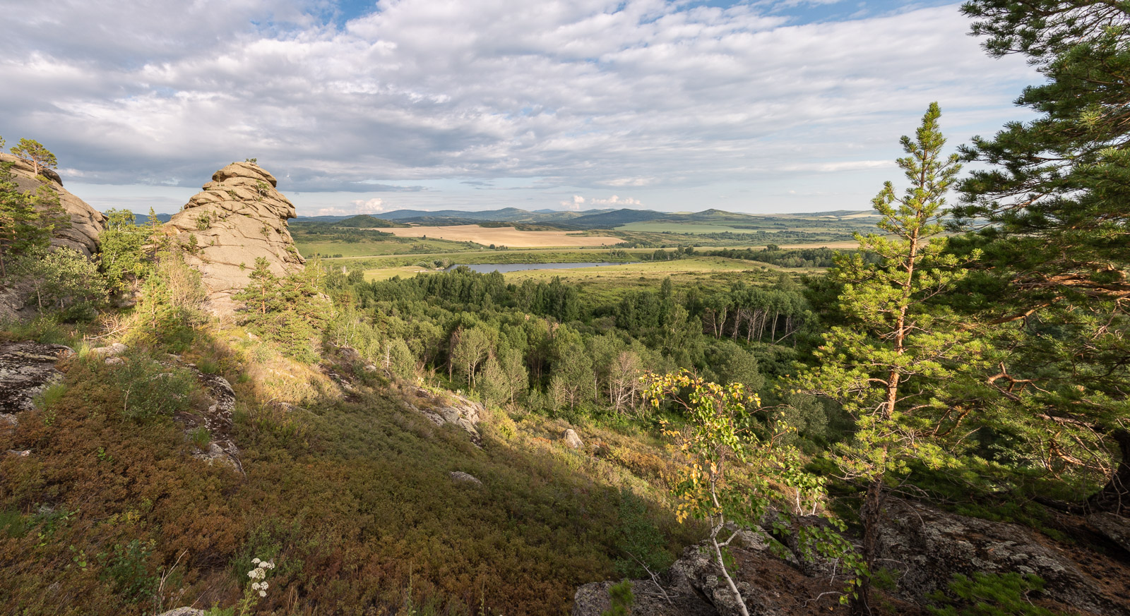 Родные просторы