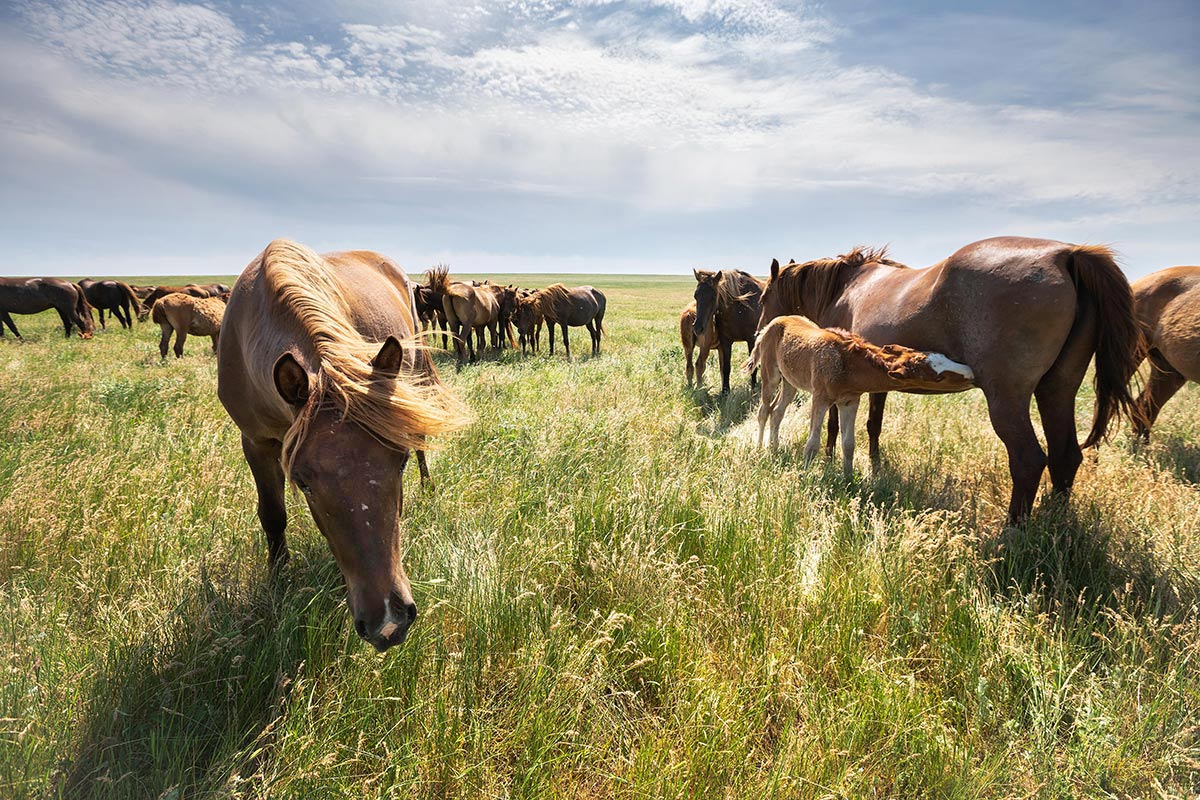 На далеком острове