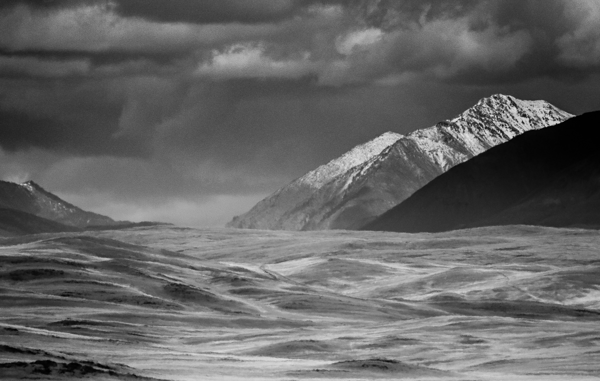 Бескрайнее безмолвие