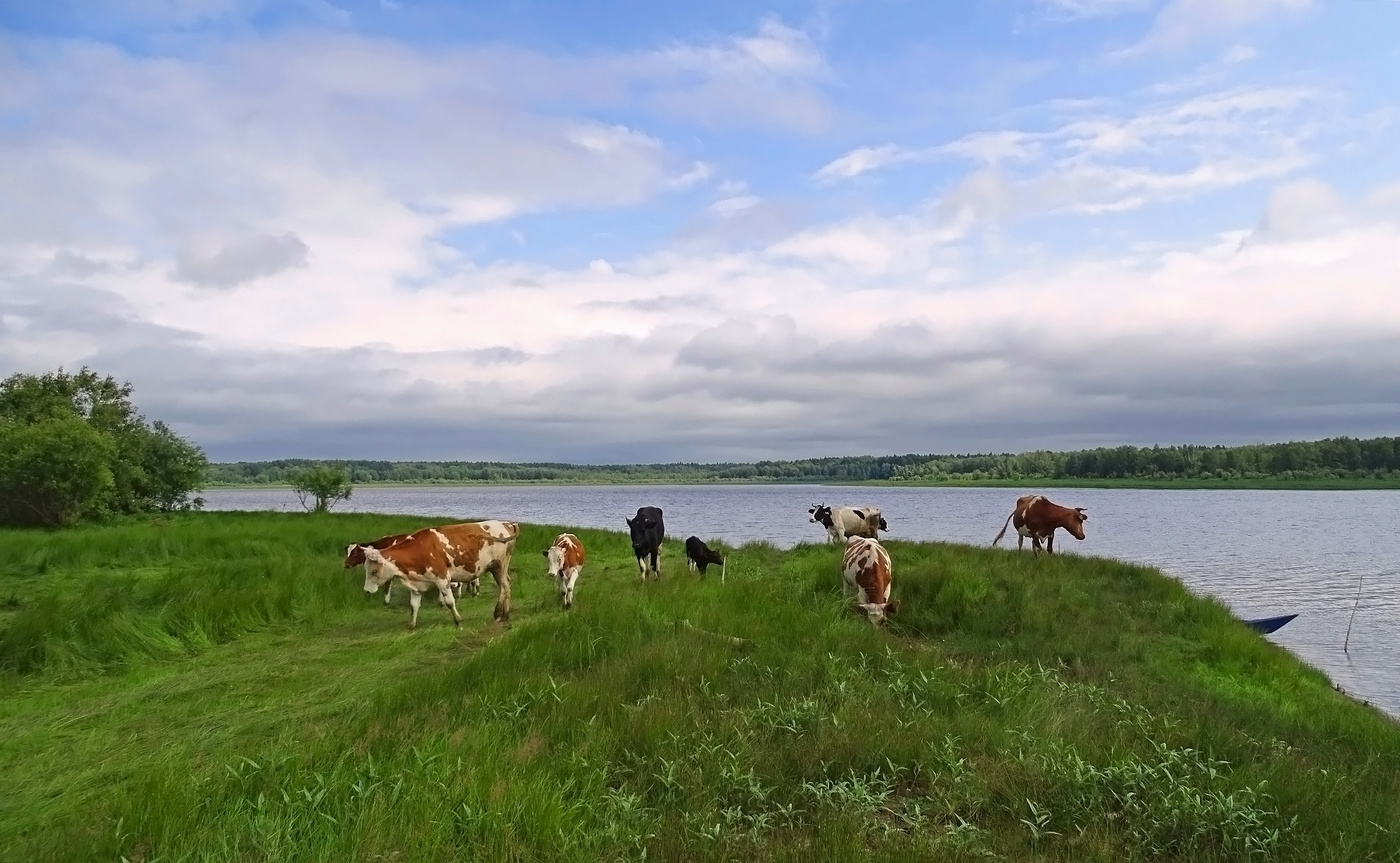 Сибирская пасторалька...