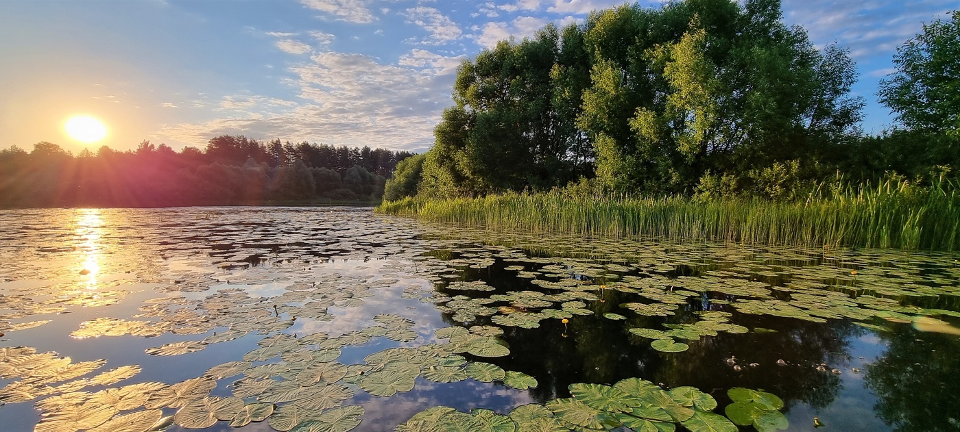 Раннее утро...