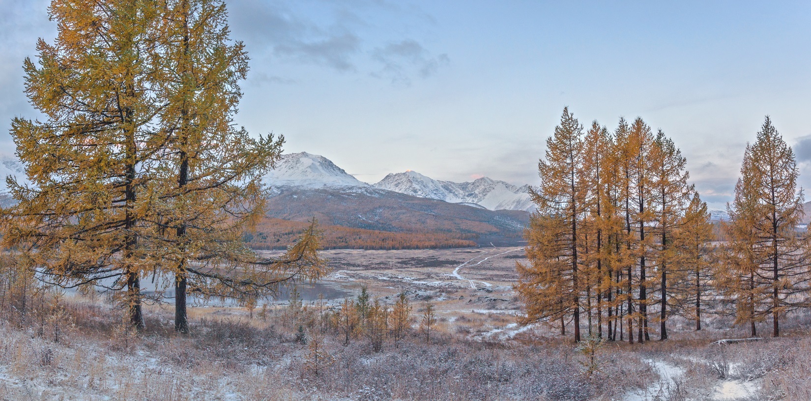 Раннее утро в горах Алтая