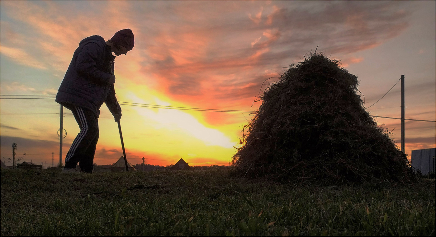 Сельские заботы