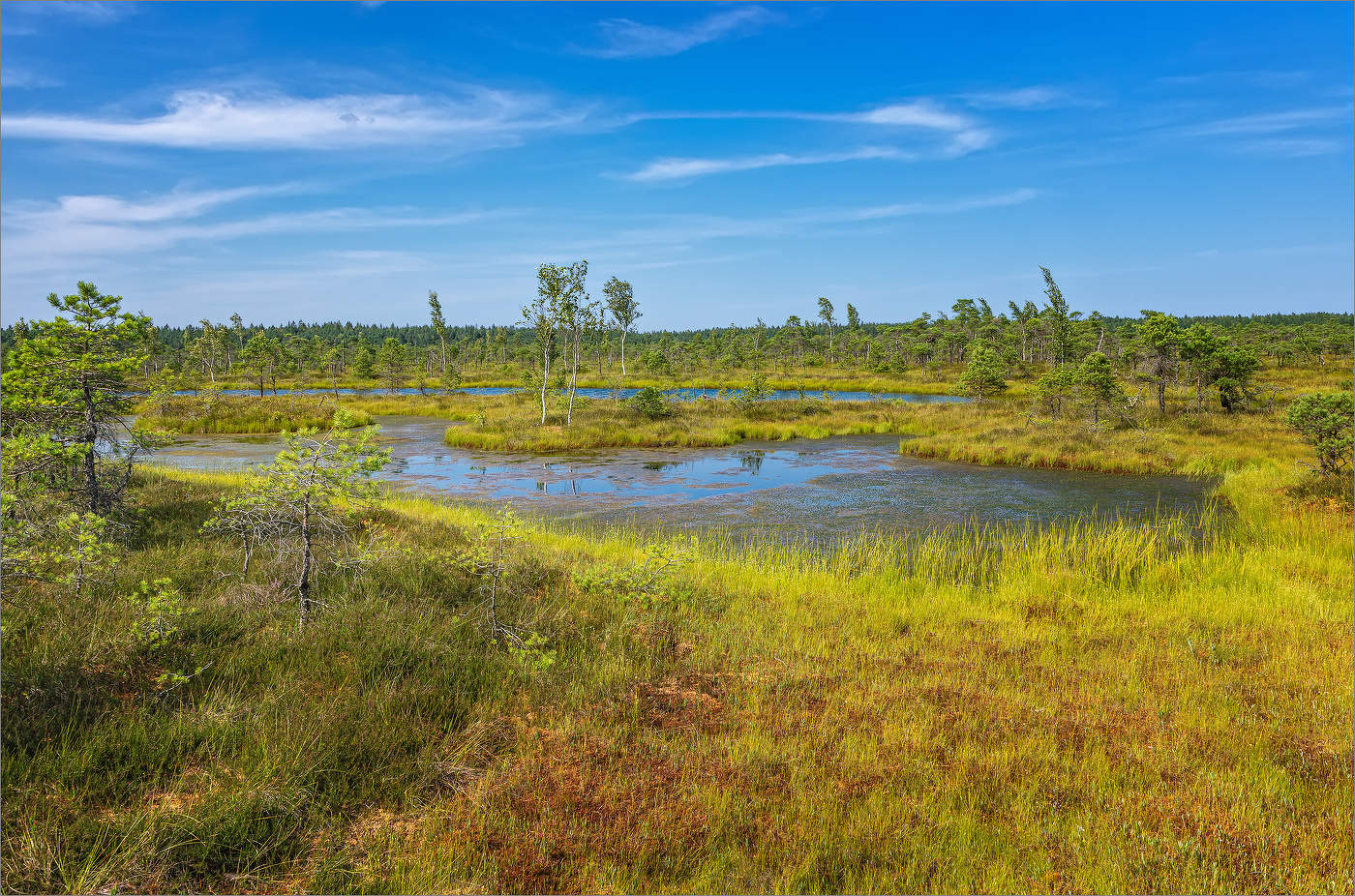 Кемерские болота