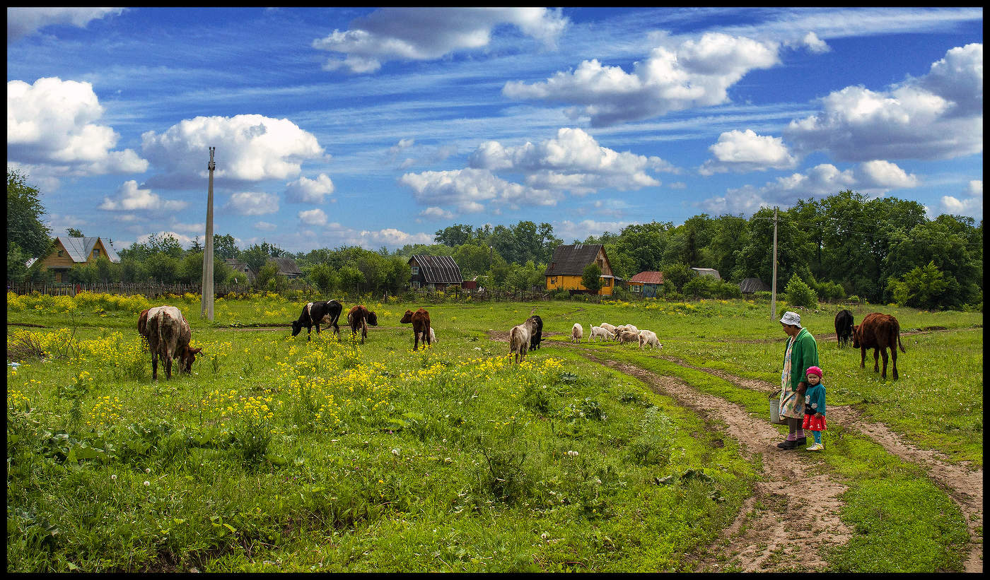 В деревне у бабушки