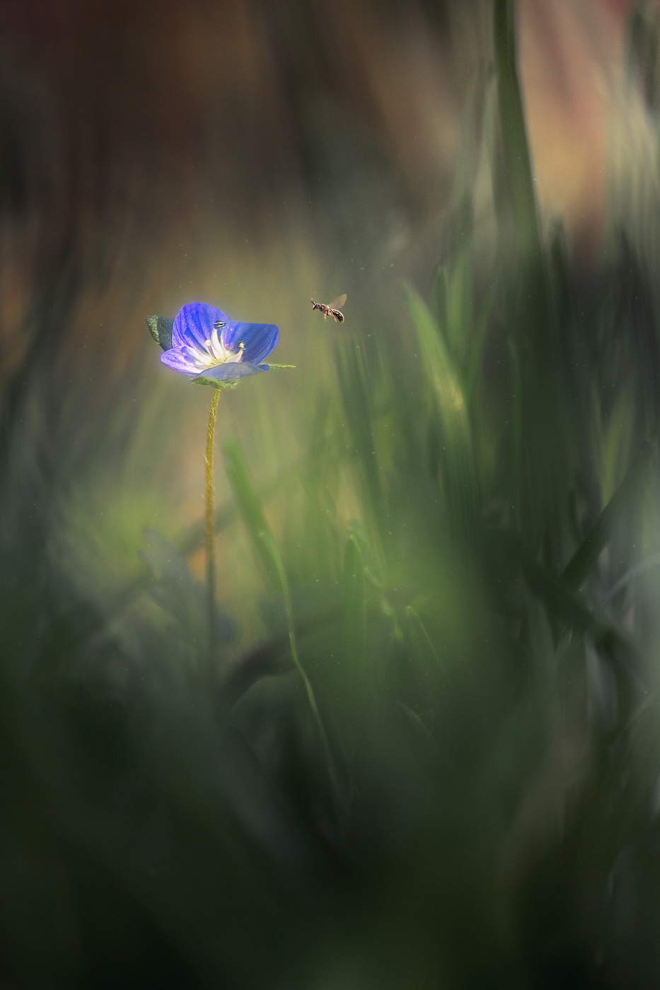 Чудо из сказки.