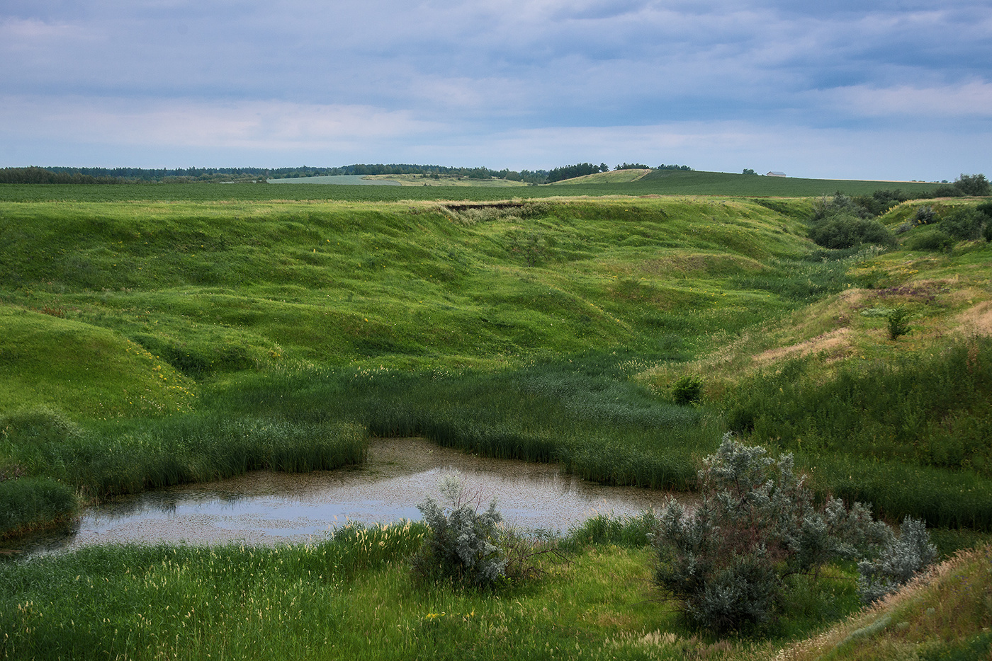 Водоёмчик...