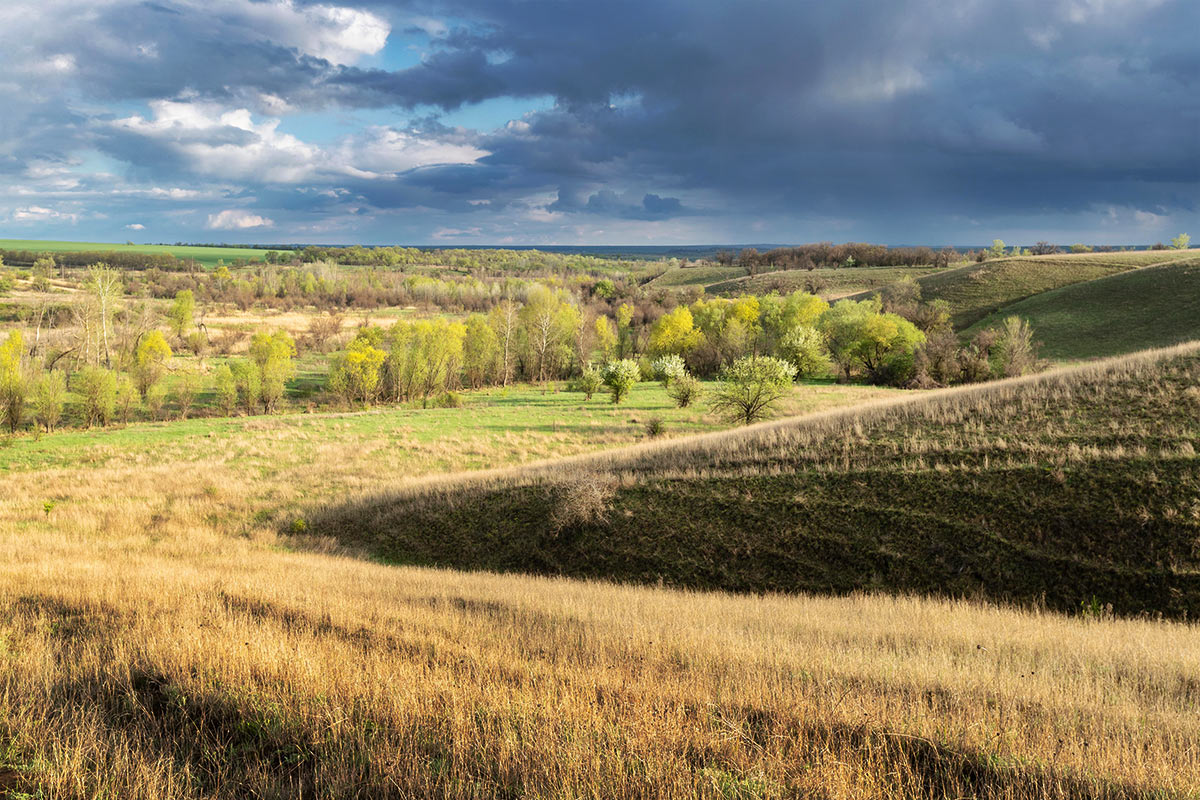 Вечер в Дубовой балке
