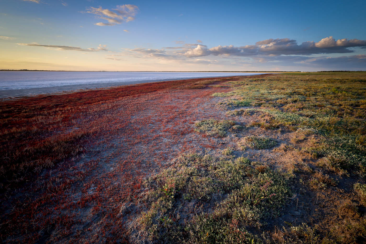 Берег соленого озера