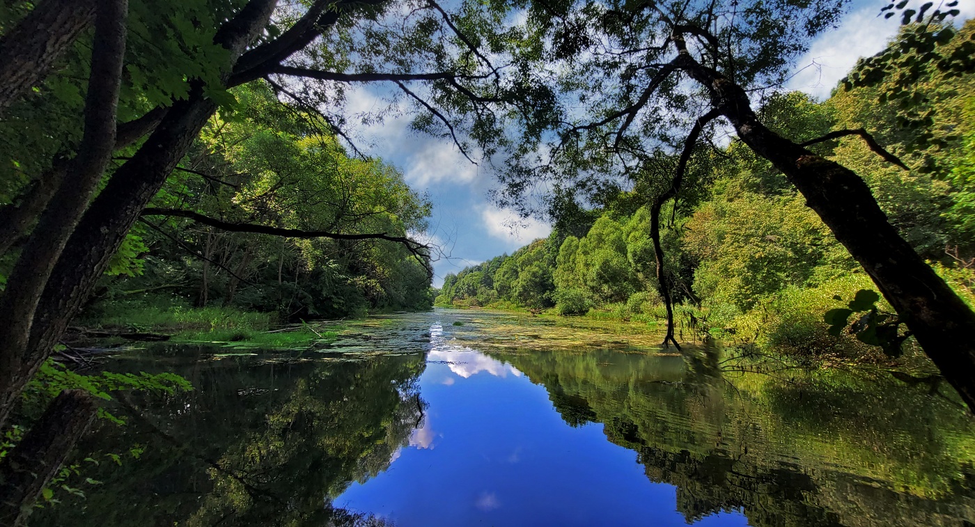 Заброшенный пруд.