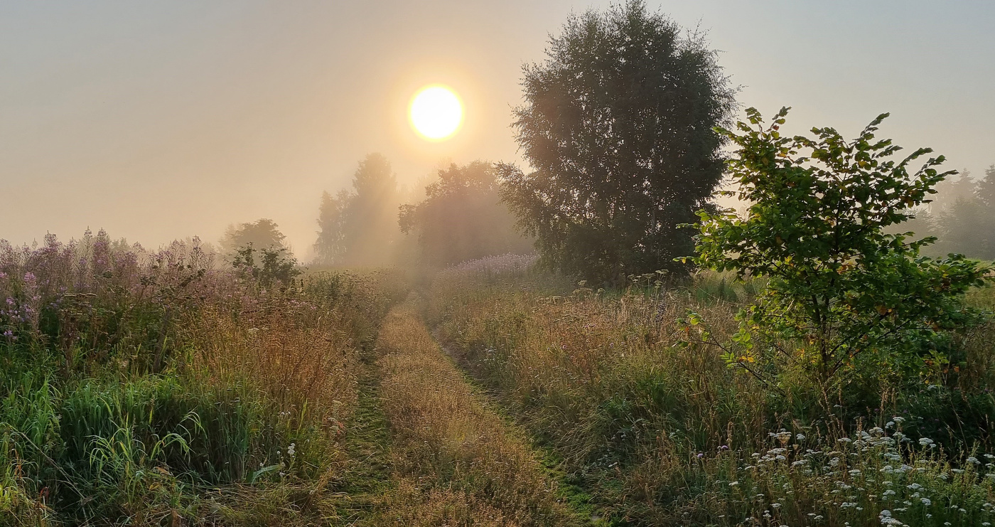Рассвет за околицей...