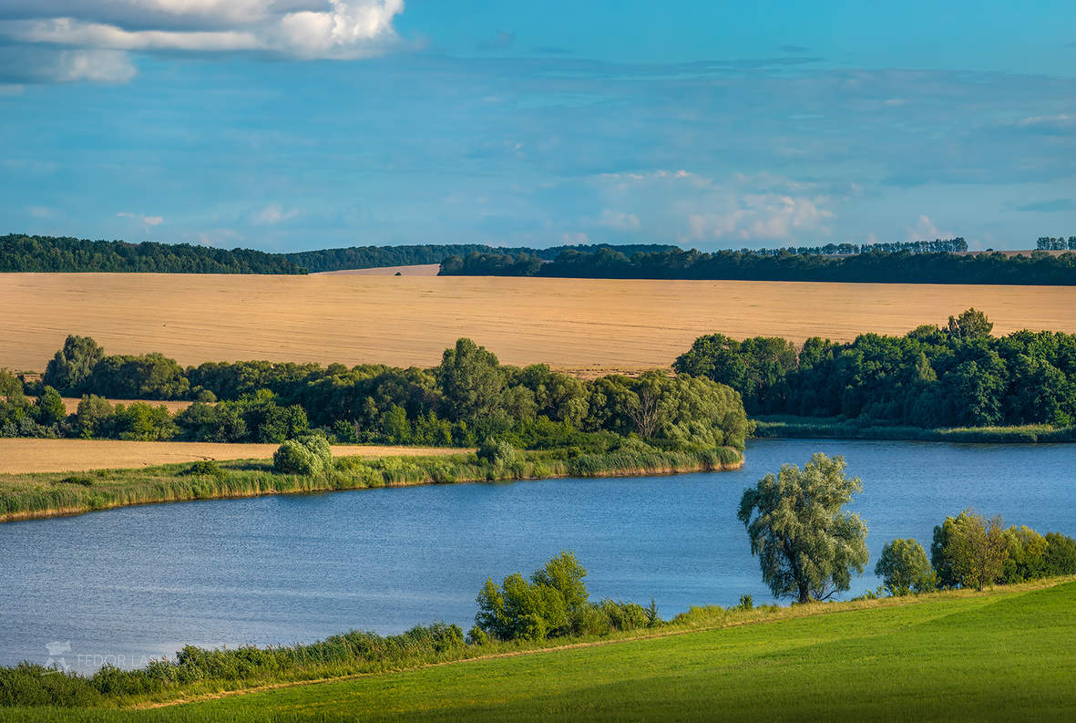 Июльский день