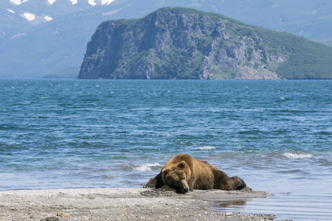 Отдыхающий.