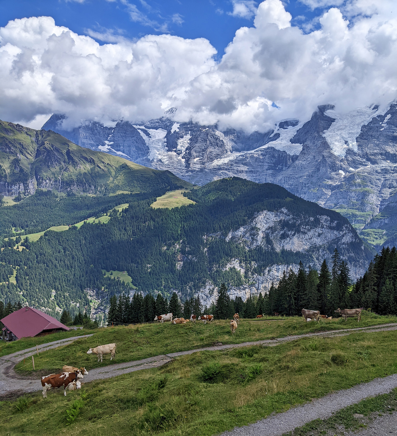 Горными тропами