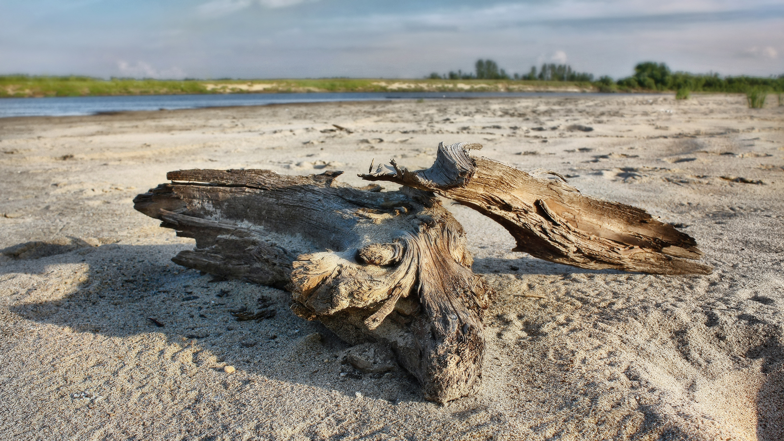 рога поотшибало...