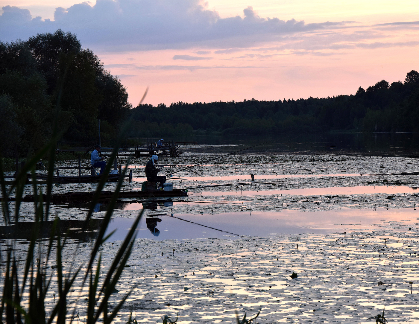 На вечерней зорьке