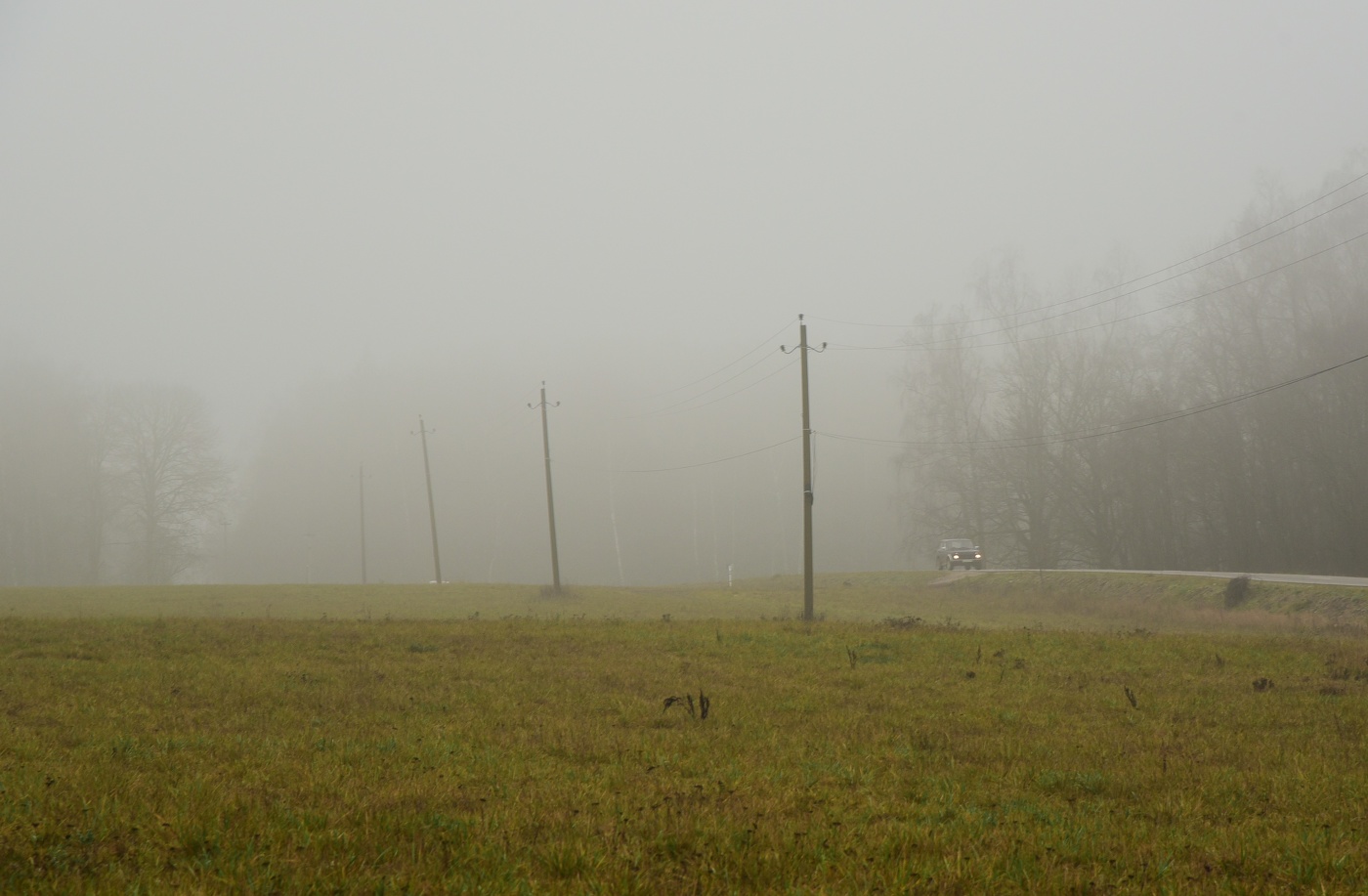 "Туман белесым одеялом покрыл все краски бытия..."