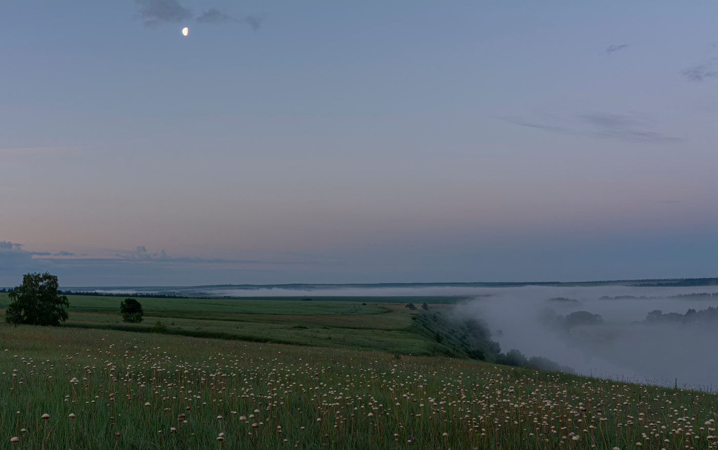 "молочная" долина