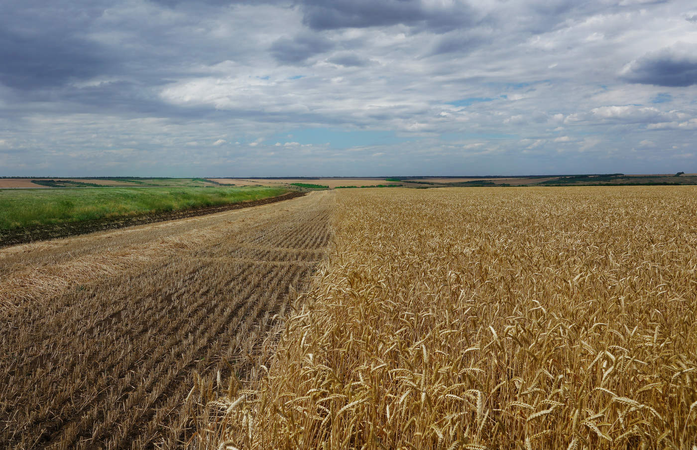 Хлеба — налево, хлеба — направо, Хлеба на счастье, хлеба на славу!