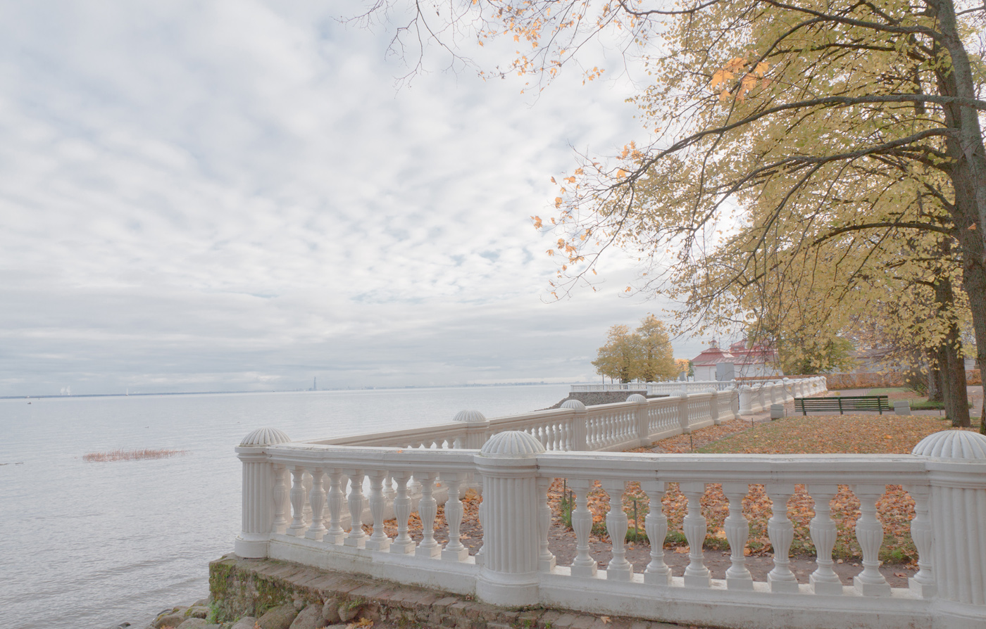 Нестандартный Петергоф - 43