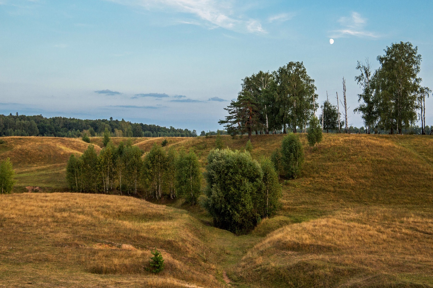 Пейзаж с луной