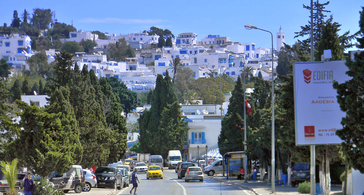 Сиди-бу-Саид — бело-голубой город в Тунисе