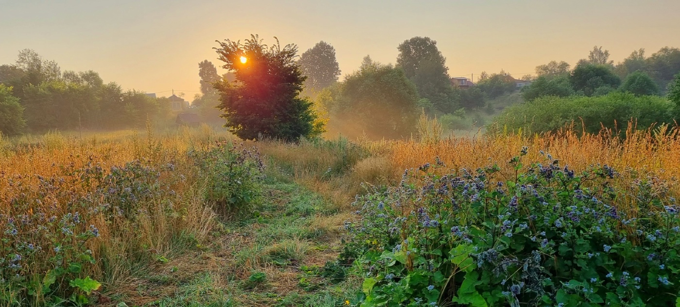 Рассвет в деревенской глуши...