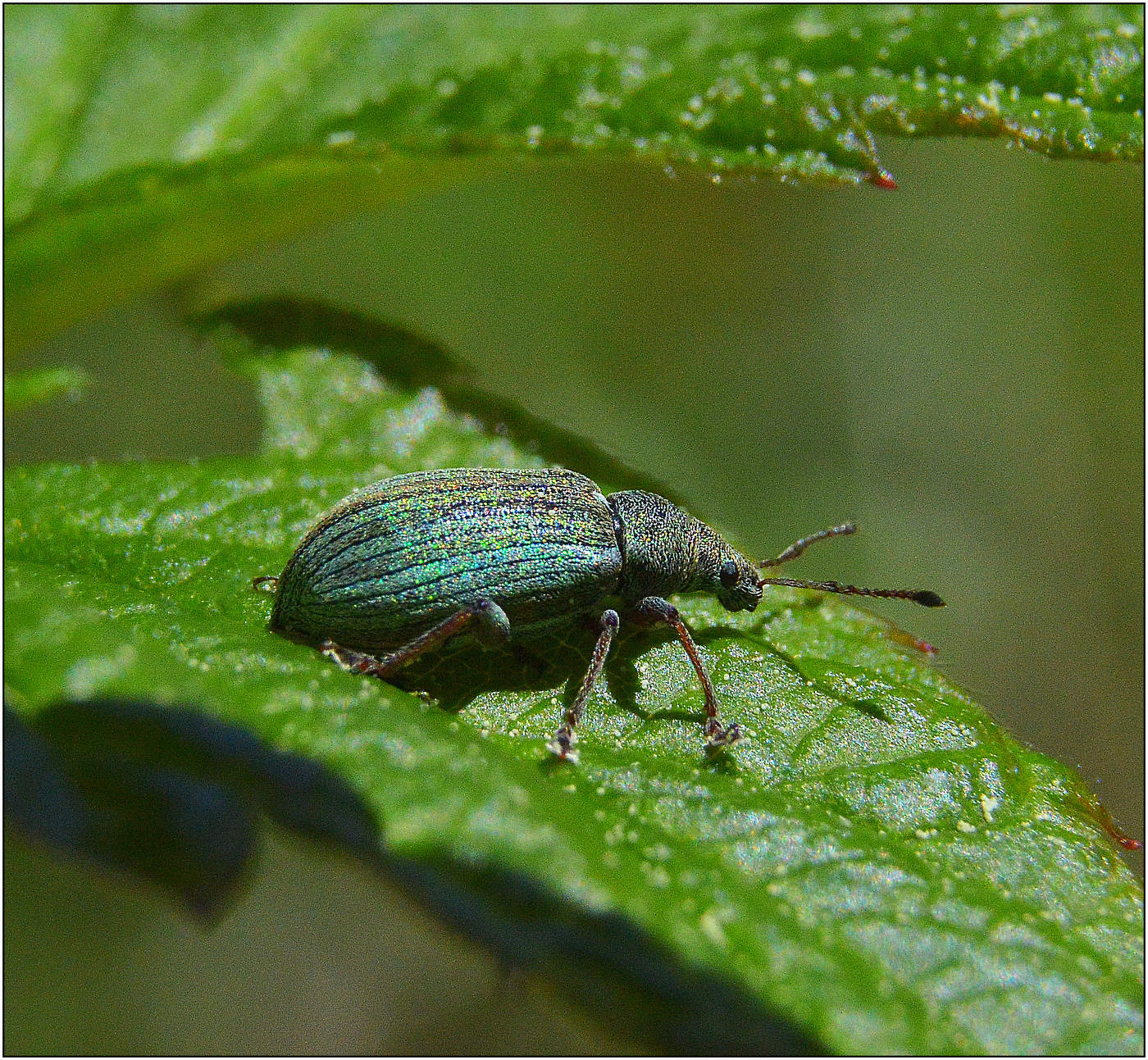 Прогулка на свежем воздухе.